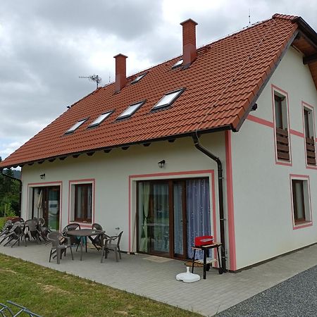 Apartmany U Olsinske Kaplicky Horní Planá Екстериор снимка