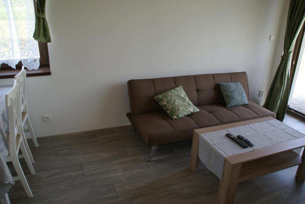 Apartmany U Olsinske Kaplicky Horní Planá Екстериор снимка