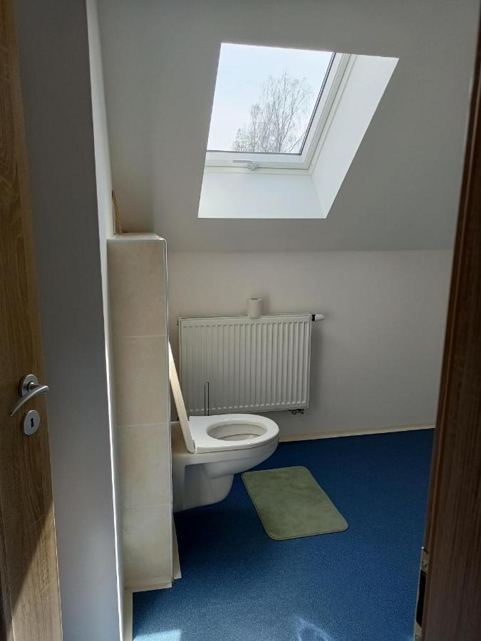 Apartmany U Olsinske Kaplicky Horní Planá Екстериор снимка