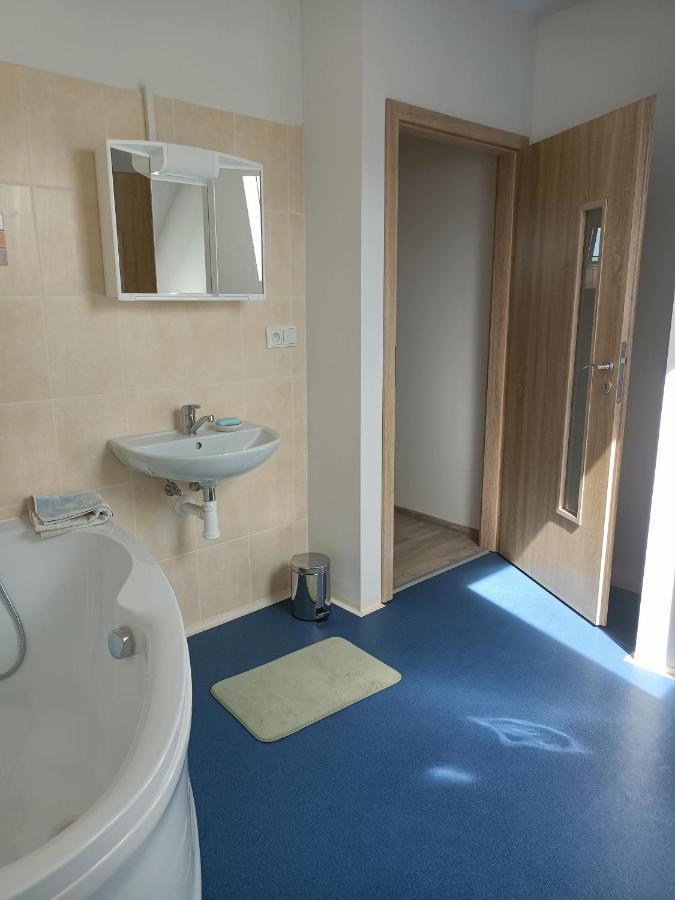 Apartmany U Olsinske Kaplicky Horní Planá Екстериор снимка