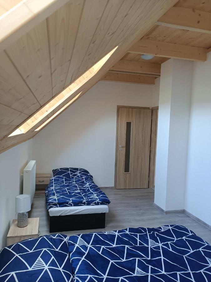 Apartmany U Olsinske Kaplicky Horní Planá Екстериор снимка