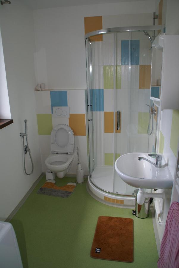 Apartmany U Olsinske Kaplicky Horní Planá Екстериор снимка